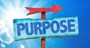 Goldhill 7 P’s Playbook Step 1: Purpose. Ya gotta have one!